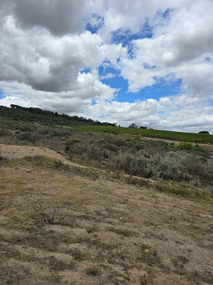 3 Bedroom Property for Sale in Stellenbosch Farms Western Cape